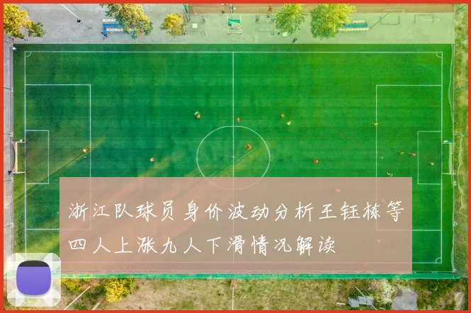 浙江队球员身价波动分析王钰栋等四人上涨九人下滑情况解读